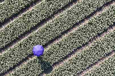 dronefotografie drone