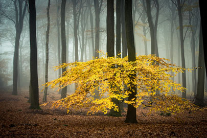 landschap natuurfotografie