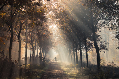 landschap natuurfotografie