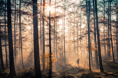 landschap natuurfotografie