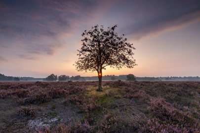 landschap natuurfotografie
