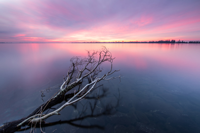 landschap natuurfotografie