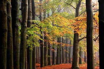 landschap natuurfotografie