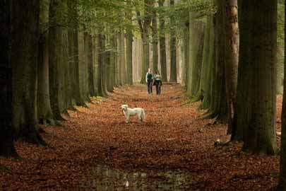 landschap natuurfotografie