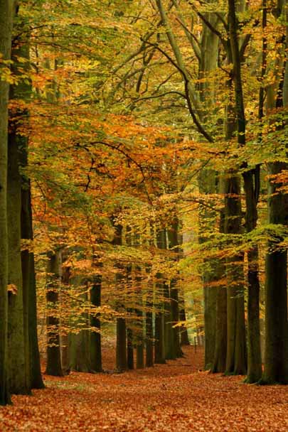 landschap natuurfotografie