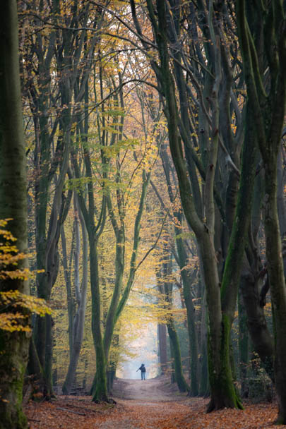 landschap natuurfotografie