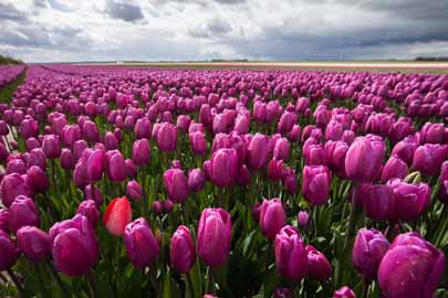 landschap natuurfotografie