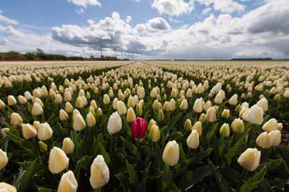 landschap natuurfotografie