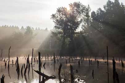 landschap natuurfotografie