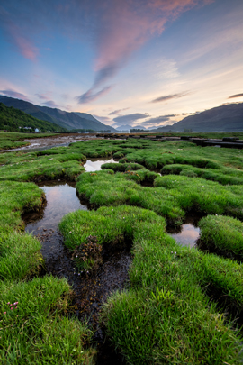 Naam van de foto hier!