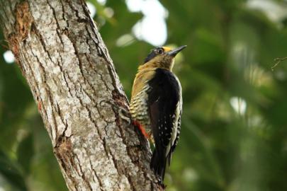 travel photography wanderlust reis