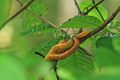 travel photography wanderlust reis