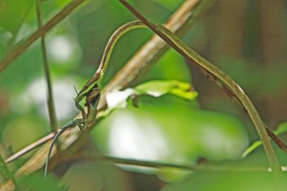 travel photography wanderlust reis