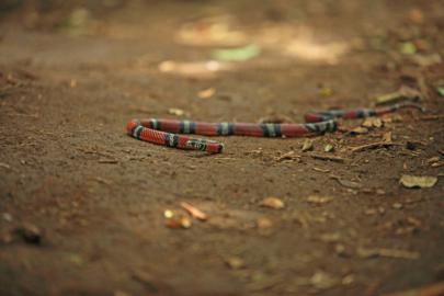 travel photography wanderlust reis