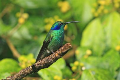 travel photography wanderlust reis