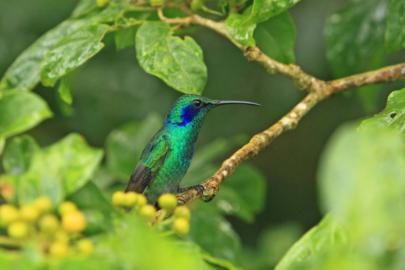 travel photography wanderlust reis