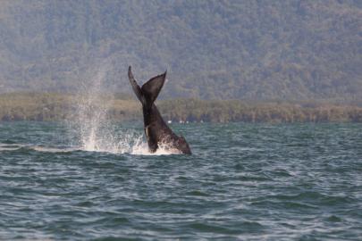 travel photography wanderlust reis