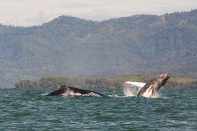 travel photography wanderlust reis