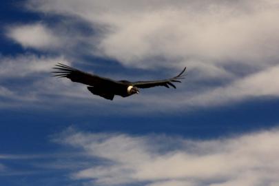 travel photography wanderlust reis