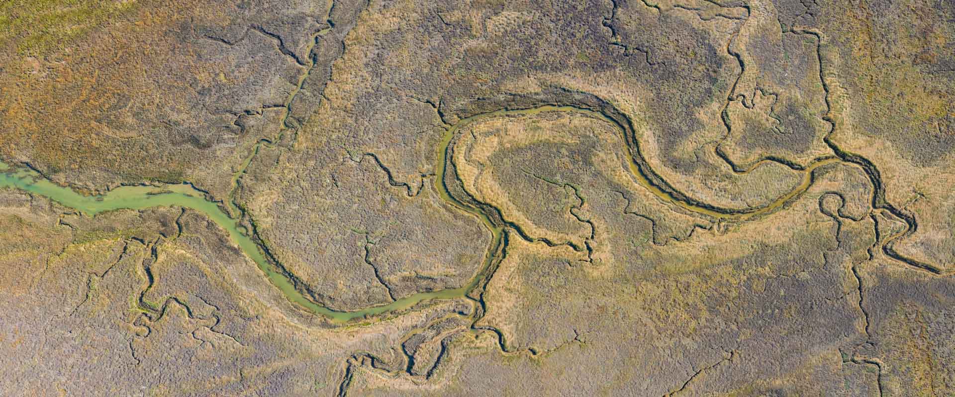 Foto door Peter van Haastrecht